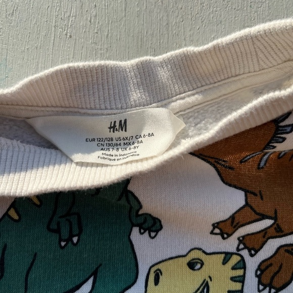 Kid's H&M Sweatshirt Multicolor Dinosaur Print 6X/7 Boy's Prehistoric Colorblock - Picture 3 of 12